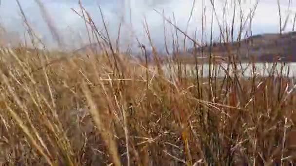 Lago Nordenskjold, chile, patagonia, parque nacional Torres del Paine — Vídeo de stock