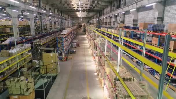 長い列を持つ大きな明るい倉庫。段ボール箱付き倉庫の長い列. — ストック動画