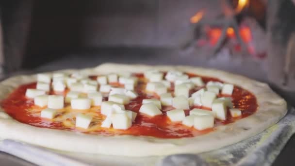 Chef kookt pizza, kookt pizza in een restaurant — Stockvideo