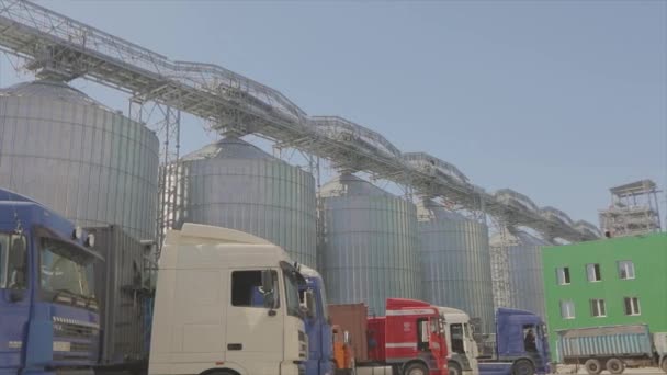 Camiones con trigo en el fondo de silos. Elevadores de trigo, camiones en primer plano. Parada de pista en el fondo de silos con trigo — Vídeo de stock