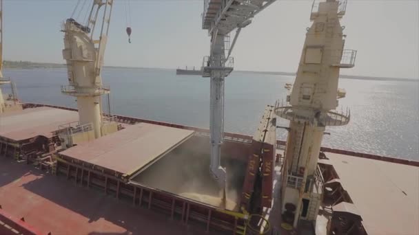 Carico di cereali in una nave da carico per il trasporto via mare. La nave è carica di grano nel porto. Esportazione di grano. Esportazione marittima. Agricoltura — Video Stock