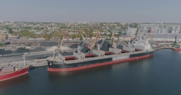 Trockener Frachter im Hafen. Hafenkran lädt Fracht in ein Trockenfrachtschiff — Stockvideo