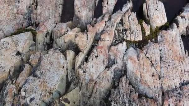 Gray Lake Patagônia, bela natureza na Patagônia — Vídeo de Stock