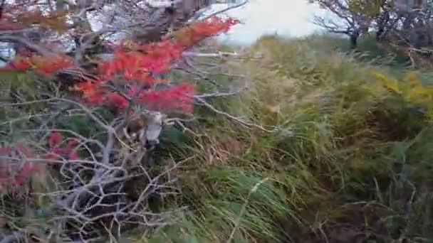 Gün batımında Cerro Payne Grande Dağı, Cerro Payne Grande Dağı 'nın güzel manzarası. Patagonya 'nın doğası — Stok video