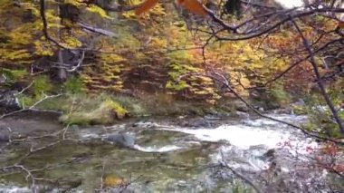 Şelale Chorrillo del Salto, Arjantin. Sonbaharda Şelale Chorrillo del Salto