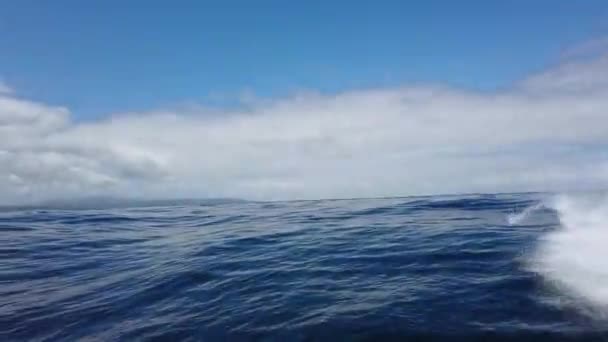从汽艇上喷出的大喷雾汽艇快速游入海中,产生了巨大的浪花 — 图库视频影像