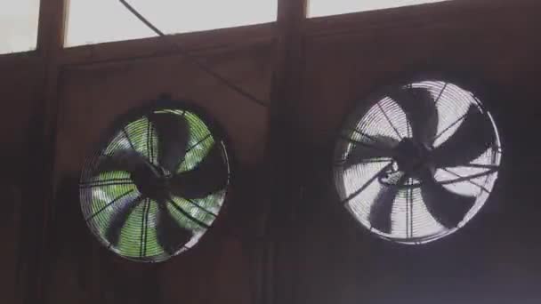 Ventilación en producción, ventiladores más grandes para ventilación de locales industriales — Vídeo de stock