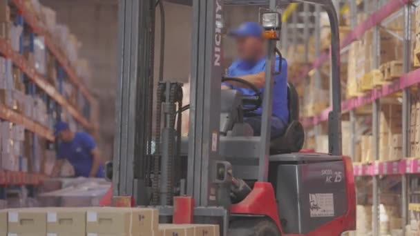 Chariot élévateur dans un grand entrepôt. Les gens travaillent dans un entrepôt. Intérieur industriel — Video