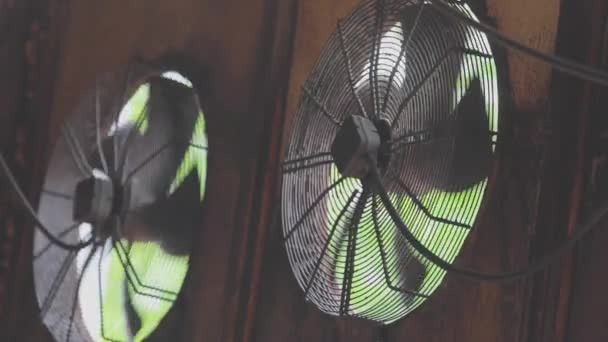 Ventilatori industriali primo piano. Sistema di circolazione dell'aria in un primo piano di fabbrica. Rotazione di grandi ventilatori in una fabbrica — Video Stock