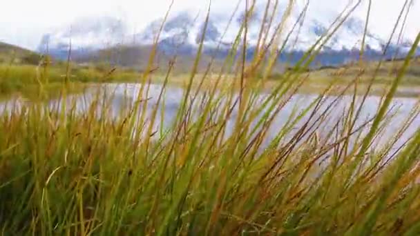 トーレス・デル・ペイン山とセロ・ペイン・グランデ山の眺め。チリ,パタゴニアのノルデンスケールド湖. — ストック動画
