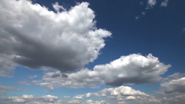 Indah berbulu awan di langit biru. Langit dengan awan yang indah — Stok Video