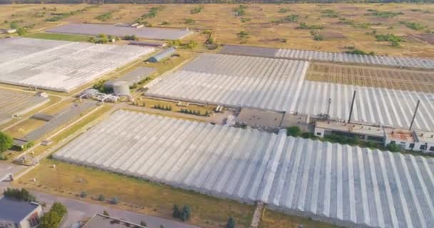 Greenhouse top view. Flight over large greenhouses. Industrial cultivation of vegetables — Stock Video