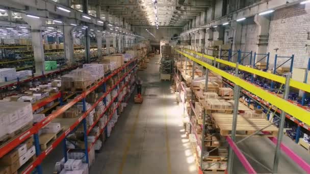 Grande magazzino luminoso con lunghe file. Lunghe file di magazzino con scatole di cartone. — Video Stock