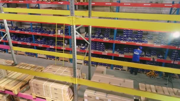 Un homme travaille dans un entrepôt. Faire voler un drone le long des rangées d'un entrepôt dans une usine — Video