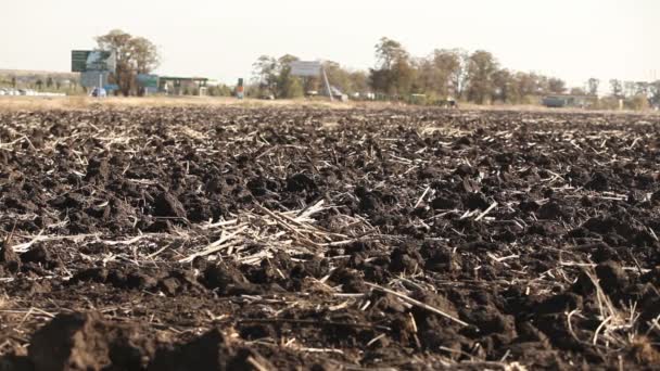 Campo scavato dopo il raccolto. Campo dopo il raccolto. — Video Stock