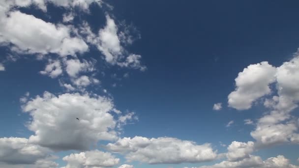 Indah berbulu awan di langit biru. Langit dengan awan yang indah — Stok Video