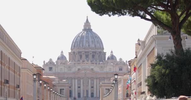 Katedralen basilika i Vatikanens centrum av Rom Italien. Sankt Peterskyrkan. Den påvliga basilikan av Sankt Peter i Vatikanen — Stockvideo