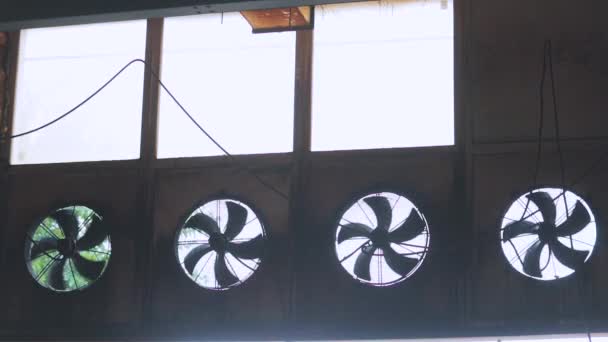 Ventilation in production, larger fans for ventilation of industrial premises — Stock Video
