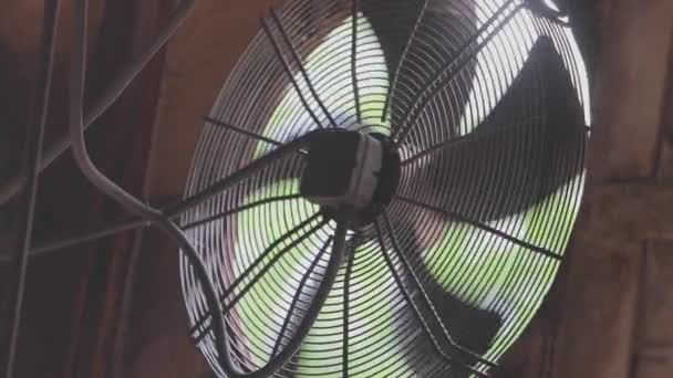 Industrial ventilators close-up. Air circulation system in a factory close-up. Rotation of large fans in a factory — Stock Video