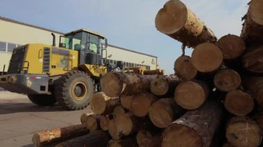 Sarı buldozer nakliye kayıtları, tomruklu buldozer.