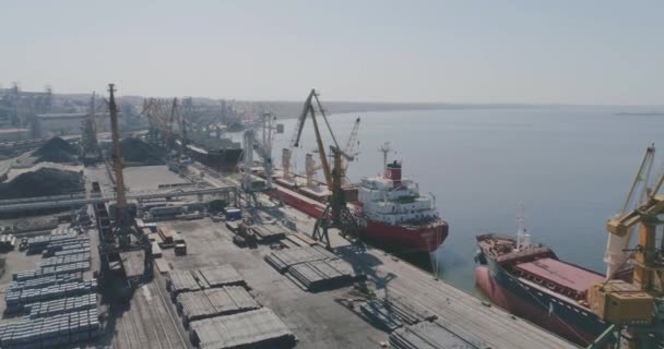 Egy nagy ipari kikötő felett repül. Nemzetközi ipari kikötő, daru és teherhajó — Stock videók
