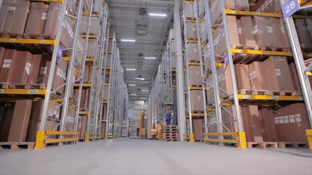 Stort lager på fabriken, många lådor i lagret, arbetarna smälter varorna i lagret — Stockvideo