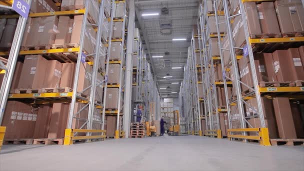 Un operaio trasporta merci in un moderno carrello elevatore in un magazzino. Lavorare in un grande magazzino — Video Stock