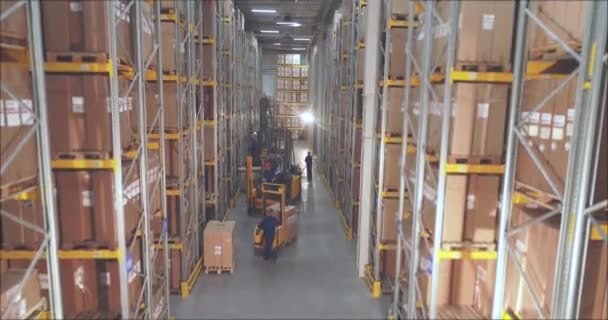 Depoda forklift, büyük bir depoda Mans işi halleder. — Stok video