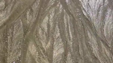 Bir adam sahilde yürür, insanlar okyanusta yüzer. Okyanusta bir sahil, deniz kumlarında yürüyen bir adam bacağı.