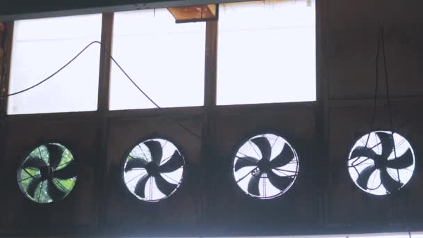 Větší ventilátory pro větrání průmyslových prostor. Ventilace ve výrobě — Stock video