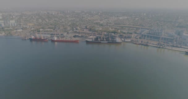 Duży przemysłowy port morski, port morski z dźwigami portowymi — Wideo stockowe