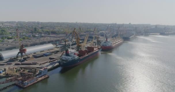 Egy nagy tengeri kikötő általános terve: Repülés a kikötő felett teherhajókkal. Repülés a kikötői daruk és a nagy teherhajók felett — Stock videók