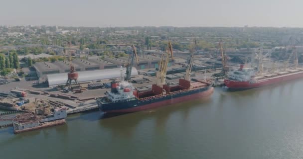 Nave da carico a secco al porto. Carichi delle gru portuali in una nave da carico secco — Video Stock