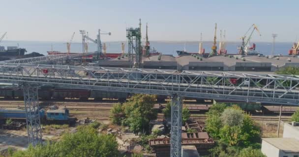 Trasportatori raschietto nel porto, trasporto di grano tramite trasportatore — Video Stock