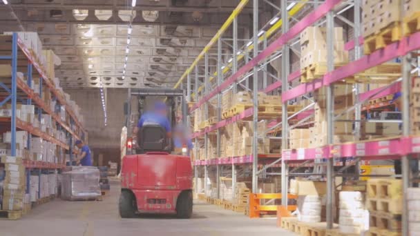 Gaffeltruck i ett stort lager. Folk jobbar i ett lager. Industriell inredning — Stockvideo