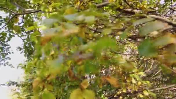파타고니아의 아름다운 특성이죠. 칠레걷기, 파타고니아걷기 — 비디오