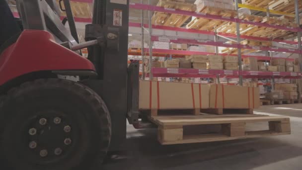 Sebuah forklift membawa kotak kayu. Sebuah forklift dengan kargo naik melalui gudang — Stok Video