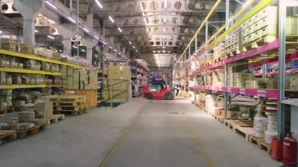 Pracovní vysokozdvižný vozík v moderním skladu. Průmyslový interiér. Vysokozdvižný vozík ve skladu. — Stock video