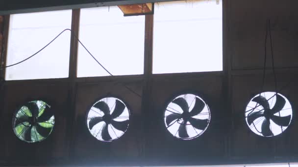Větrání ve výrobě, větší ventilátory pro větrání průmyslových prostor — Stock video