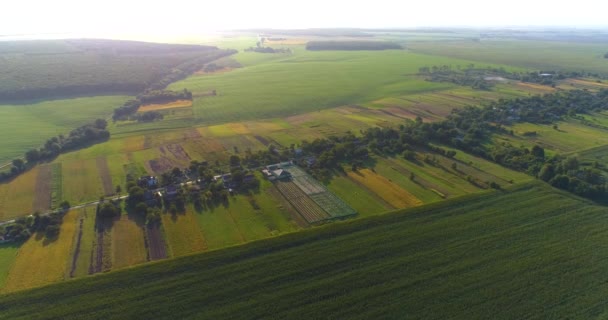 A fazenda de caramujos é uma vista superior. Voar sobre uma fazenda de caracol. Voando sobre a fazenda ao pôr do sol. — Vídeo de Stock