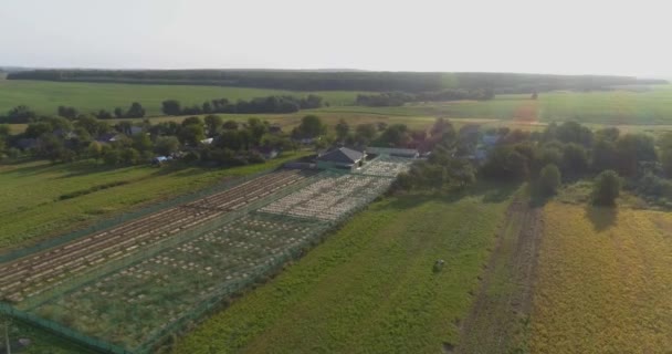Die Schneckenfarm ist von oben zu sehen. Fliegen Sie über eine Schneckenfarm. Bei Sonnenuntergang über den Hof fliegen. — Stockvideo