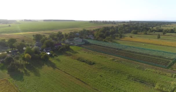 La ferme à escargots offre une vue imprenable. Survolez une ferme d'escargots. Survoler la ferme au coucher du soleil. — Video