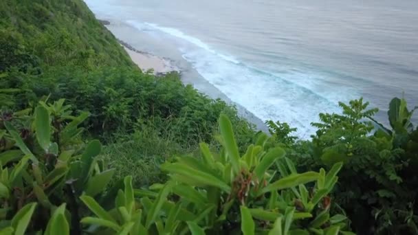 バリ島の美しいビーチ、人々はバリのビーチでリラックス — ストック動画