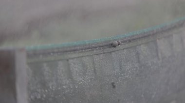 Çiftlikteki sulama sisteminin işi. Salyangoz çiftliğinde sulama işlemi. Sulama sistemi