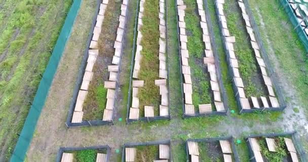 Agricultura industrial de caracoles. Volando sobre una granja de caracoles. Creciendo caracoles al aire libre vista superior. — Vídeo de stock