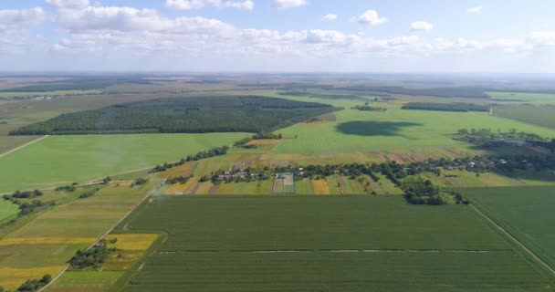 Beaux champs bien entretenus vue de dessus. Champs agricoles vue aérienne. Vue sur la ferme. Agriculture vue du dessus. — Video