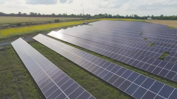 Létá nad polem solárních panelů, kolem zelených polí. Obnovitelné zdroje energie, solární panely — Stock video
