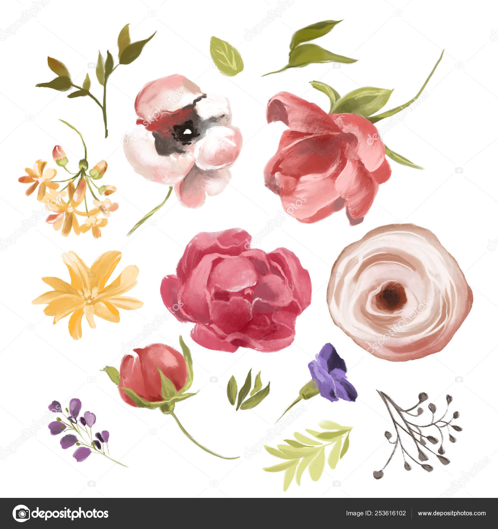 美丽的手绘水彩花和白色背景上的花卉元素 图库照片 C Babanna