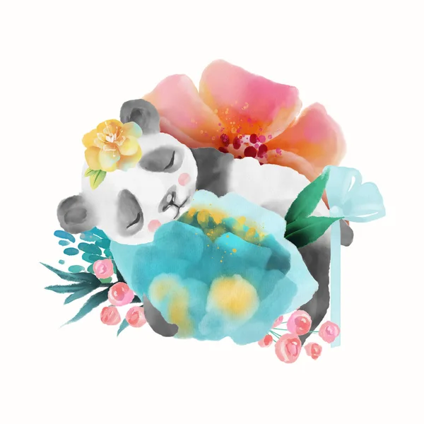 Цветы Спящей Панды Белом Фоне — стоковое фото