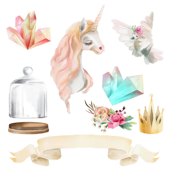 Magnifique Mignon Ensemble Magique Aquarelle Avec Licorne Bocal Verre Pigeon — Photo